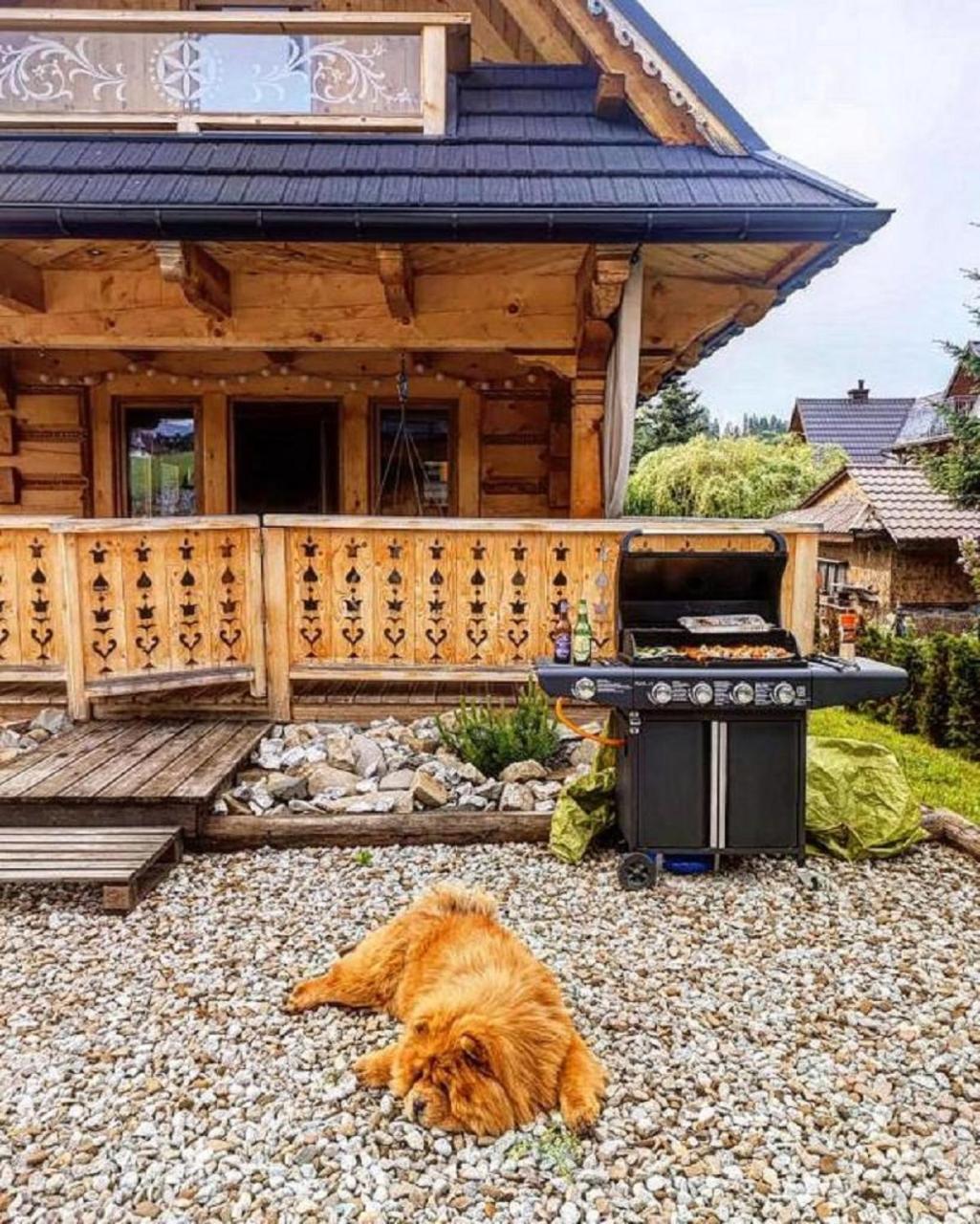 Chaty Misiagi Poronin Exterior foto